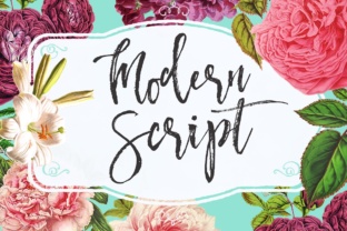 Download Modern Script - Modern Collection